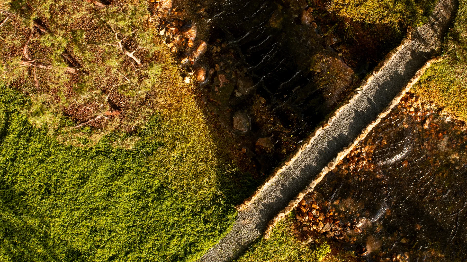 pine-barens-country-club-hole-17-arial-view-bridge-mobile-micro-landscapes Aerial view of Pine Barrens Hole 17 showing full layout with tee box, water, bridge, and trees