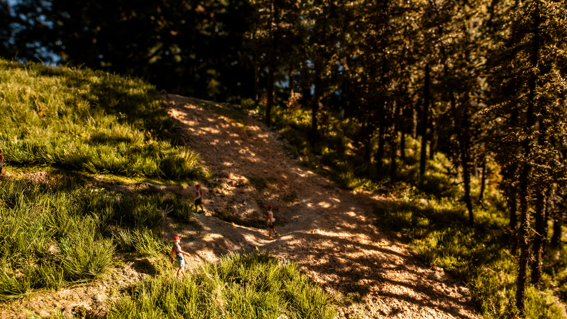 Sunlit miniature ascent trail featured in the Snow King 29029 micro landscape