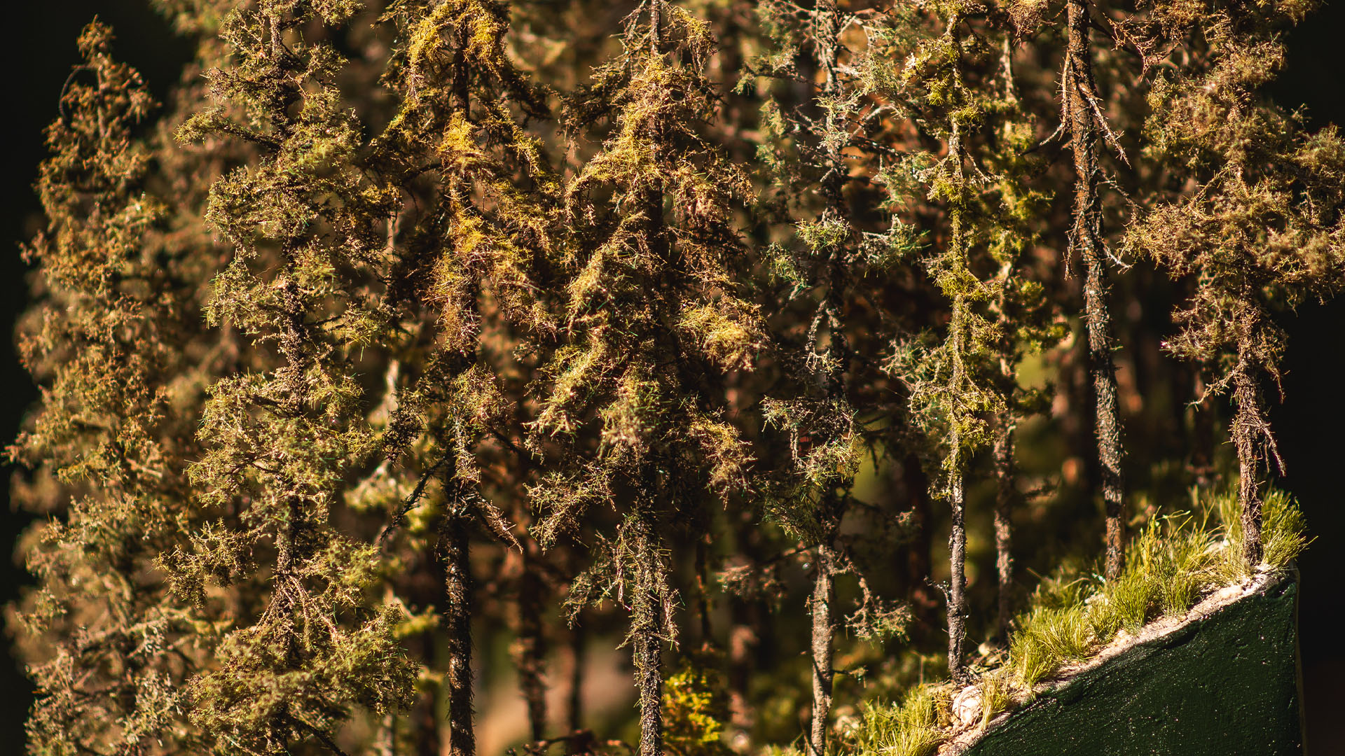 Detailed forest and terrain craftsmanship on the Snow King Mountain miniature landscape.