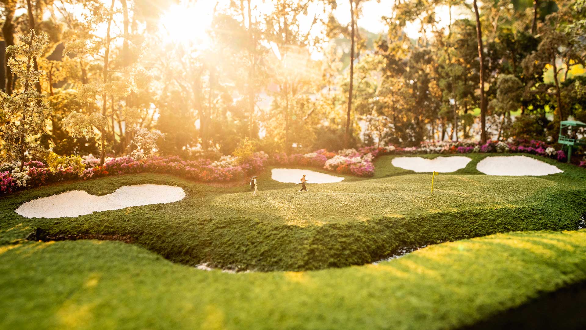 Sun shining on golf green micro landscape