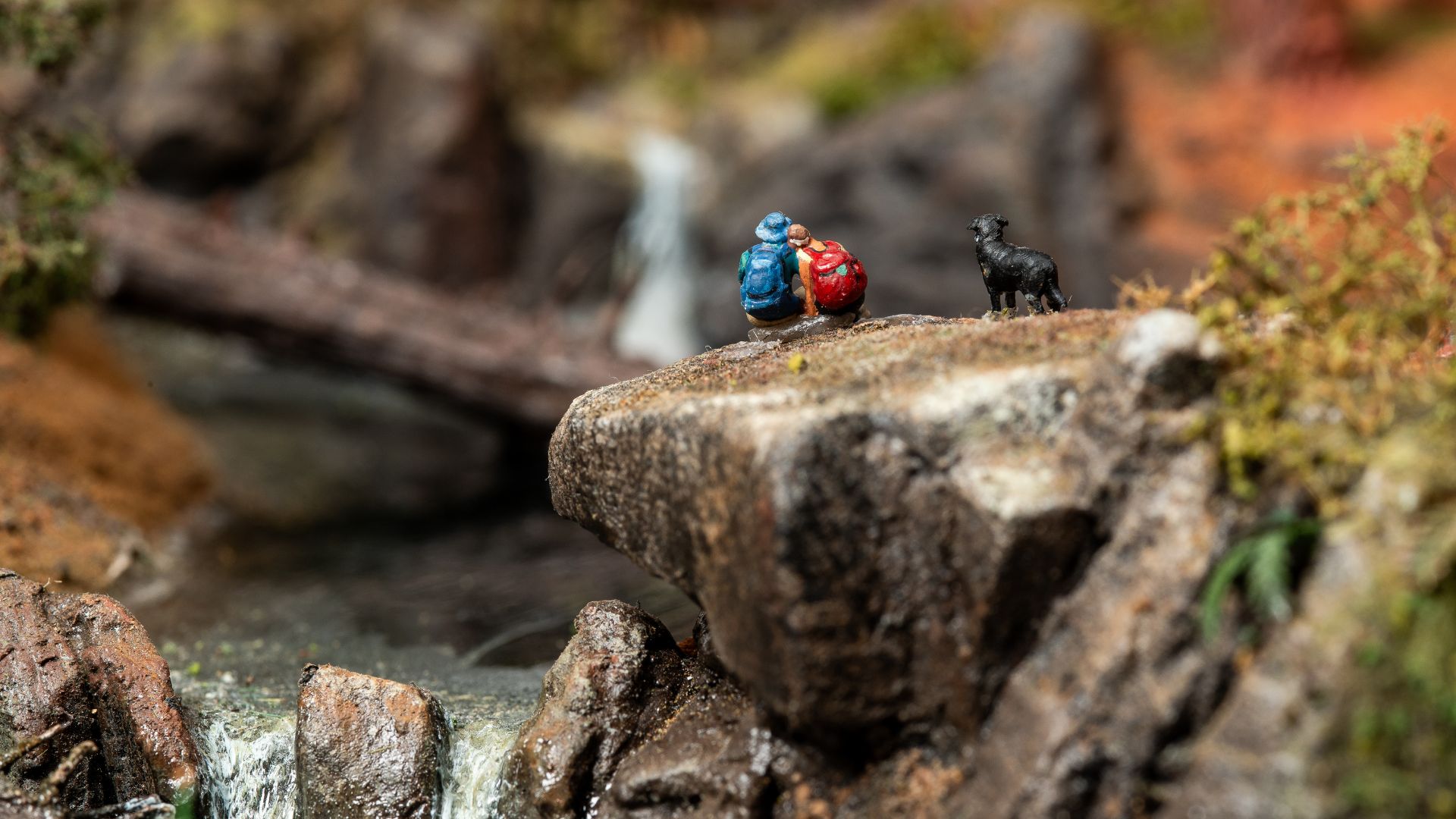 Tiny handcrafted figures of Phil and Sonja hidden among the towering redwood trees inside a custom miniature landscape.