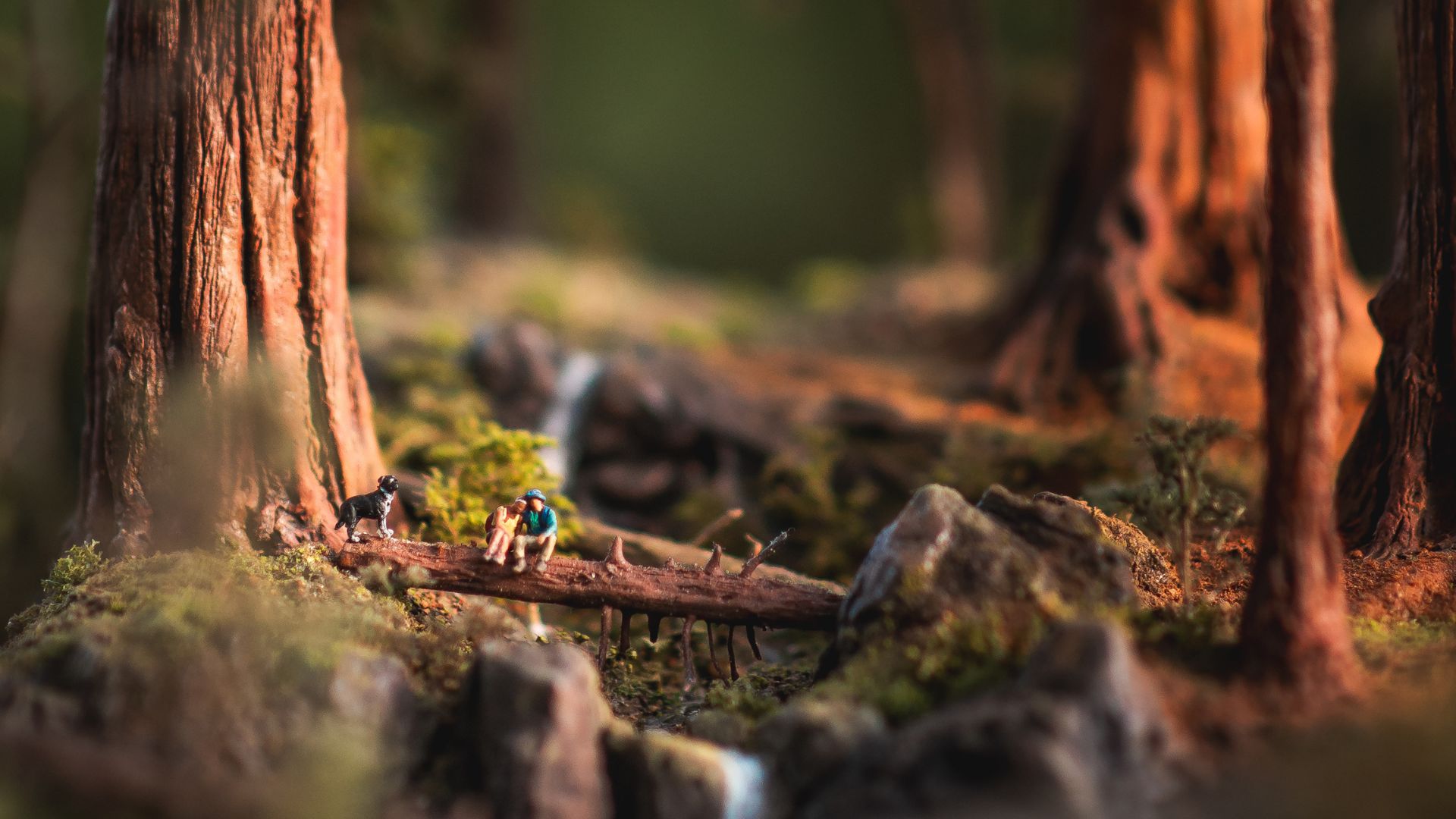 Detailed handcrafted redwood tree within a miniature landscape inspired by the ancient forests of Northern California.