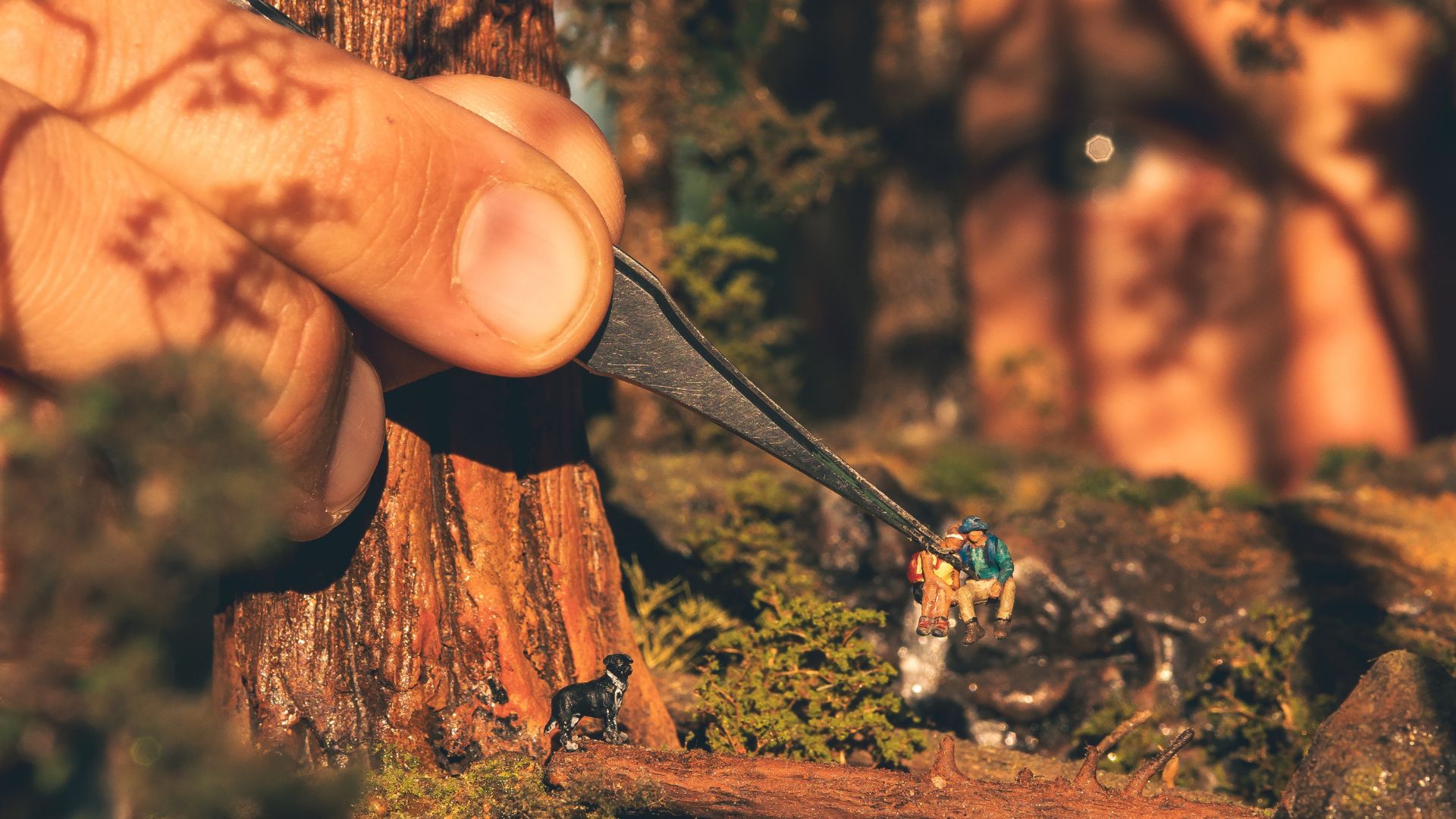 Micro landscape artist placing detailed finishing touches on a handcrafted Redwood National Forest replica.