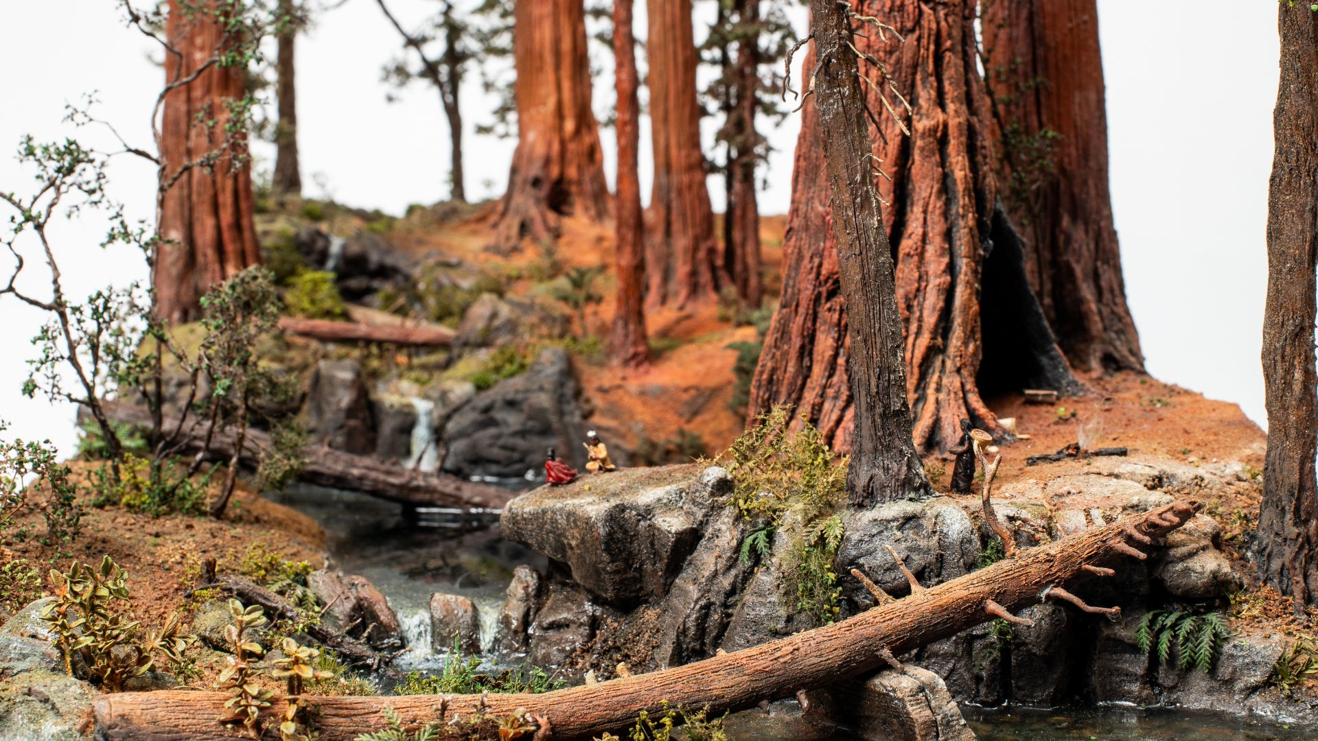 Custom micro landscape of Redwood National Forest with handcrafted waterfalls, fallen logs, moss-covered rocks, and giant redwood trees.