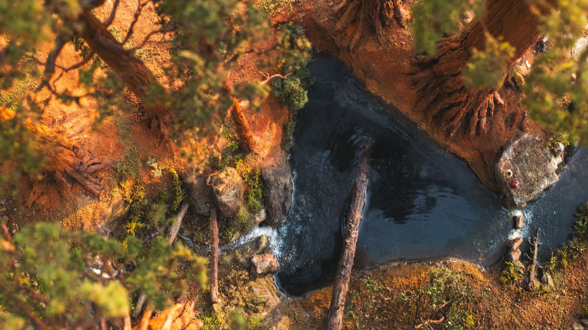 Handcrafted miniature landscape inspired by Redwood National Forest featuring towering California redwood trees and a peaceful forest stream.