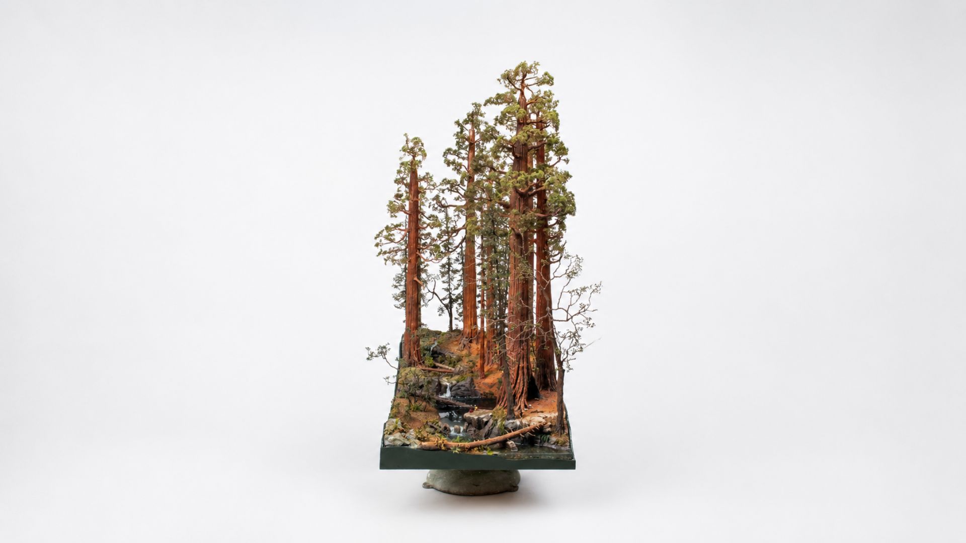 Front view of a handcrafted Redwood National Forest miniature landscape featuring giant redwood trees and natural forest details.