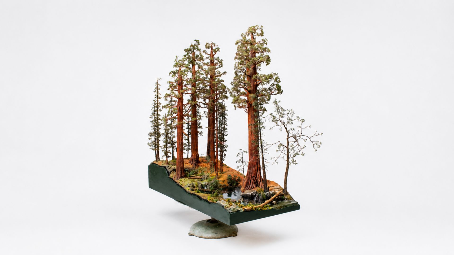 Handcrafted miniature landscape displayed on a pedestal featuring California redwood trees and forest terrain.