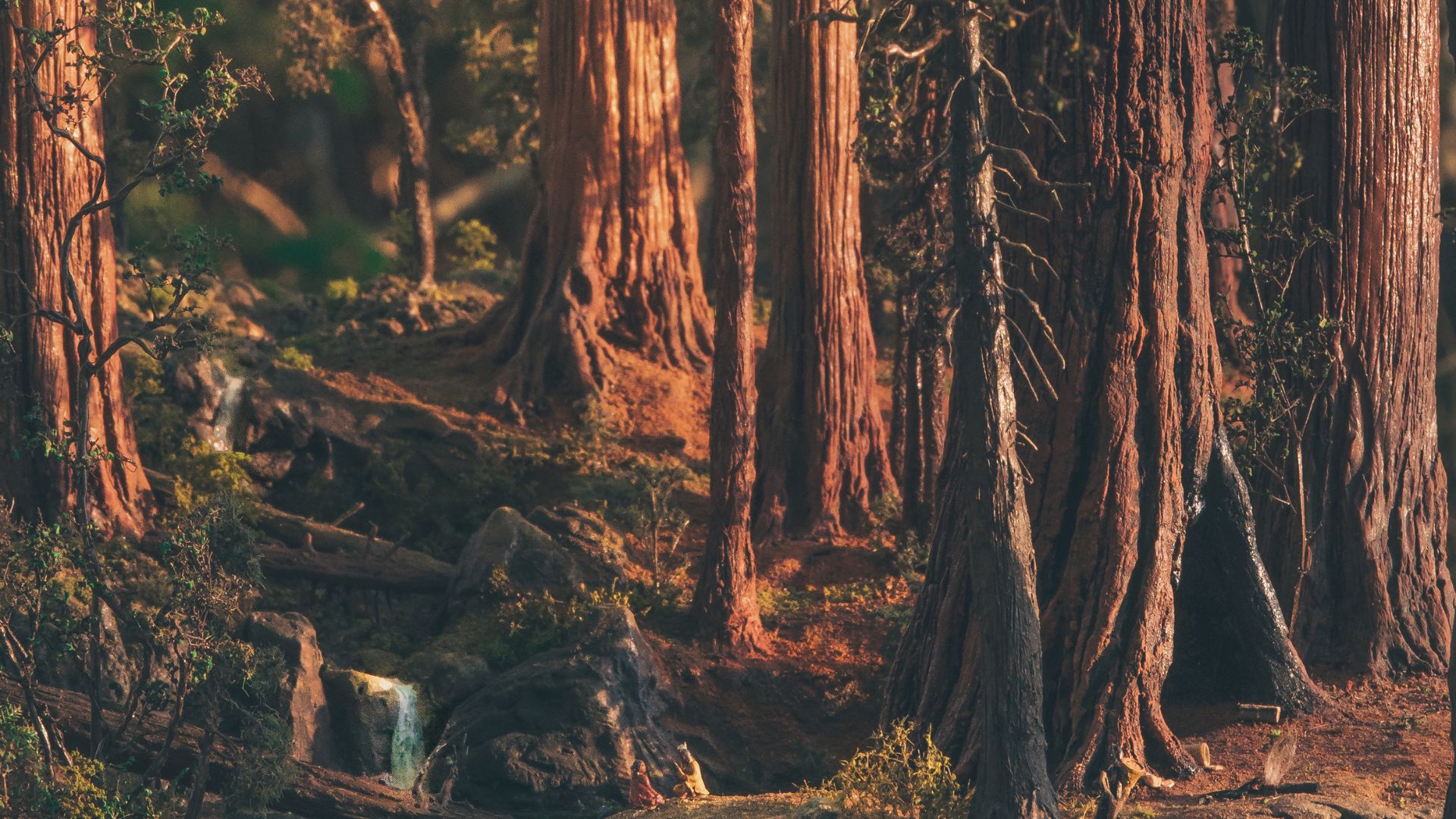 Close-up of handcrafted California redwood trees created for a custom miniature landscape inspired by Redwood National Forest.